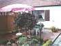 Urlaub-mit-Hund 11533