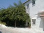 Urlaub-mit-Hund 11662