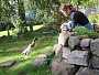 Urlaub-mit-Hund 14420