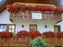 Urlaub-mit-Hund 17207