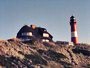 Urlaub-mit-Hund 17723