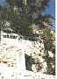 Urlaub-mit-Hund 85641