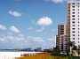 Urlaub-mit-hund: Marco Island, Marco Island, Florida