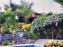 Urlaub-mit-hund: Esterillos Oeste, Jac� Beach, Puntarenas